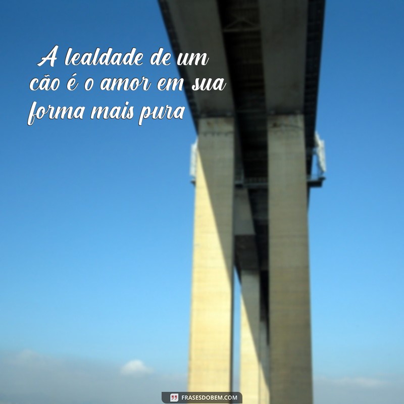 frases para animais 