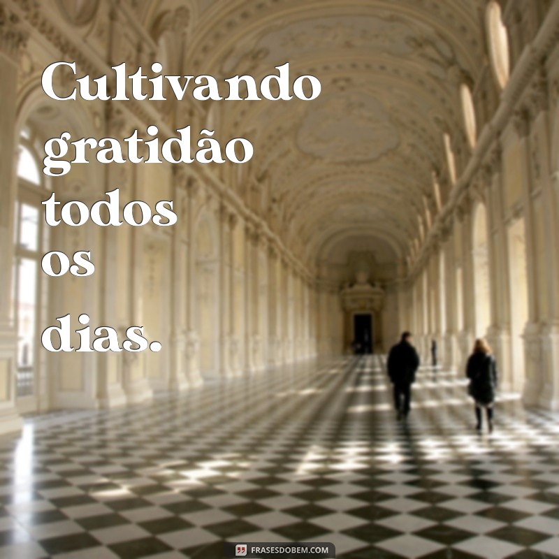 Frases Criativas para Bio do WhatsApp: Inspire-se e Destaque-se! 