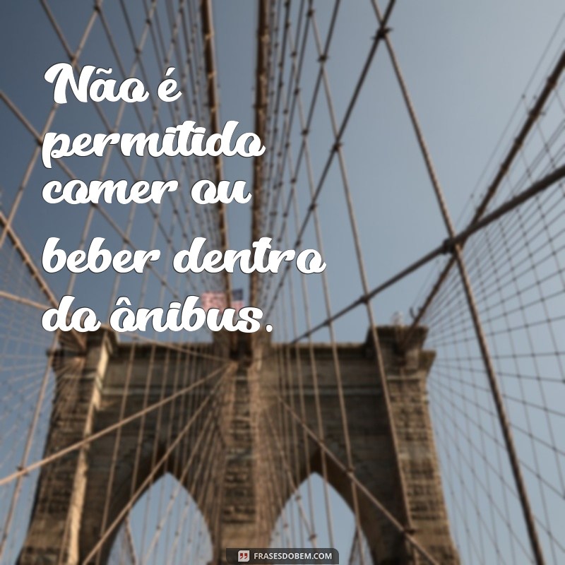 Descubra as melhores frases de ônibus para inspirar sua viagem 