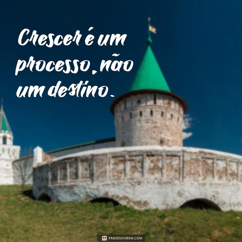 Frases Inspiradoras para Ser Melhor a Cada Dia: Transforme Sua Vida 