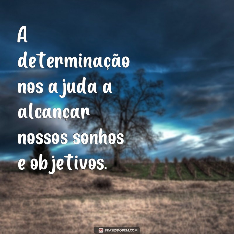 Descubra as Melhores Frases de Valores Humanos para Inspirar sua Vida 