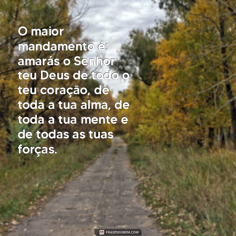 Descubra as melhores frases e ensinamentos de Jesus para inspirar sua vida 