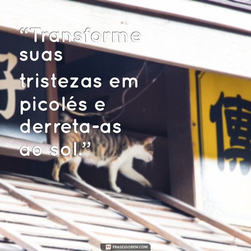 28 Frases Divertidas sobre Picolé para Refrescar seu Dia 