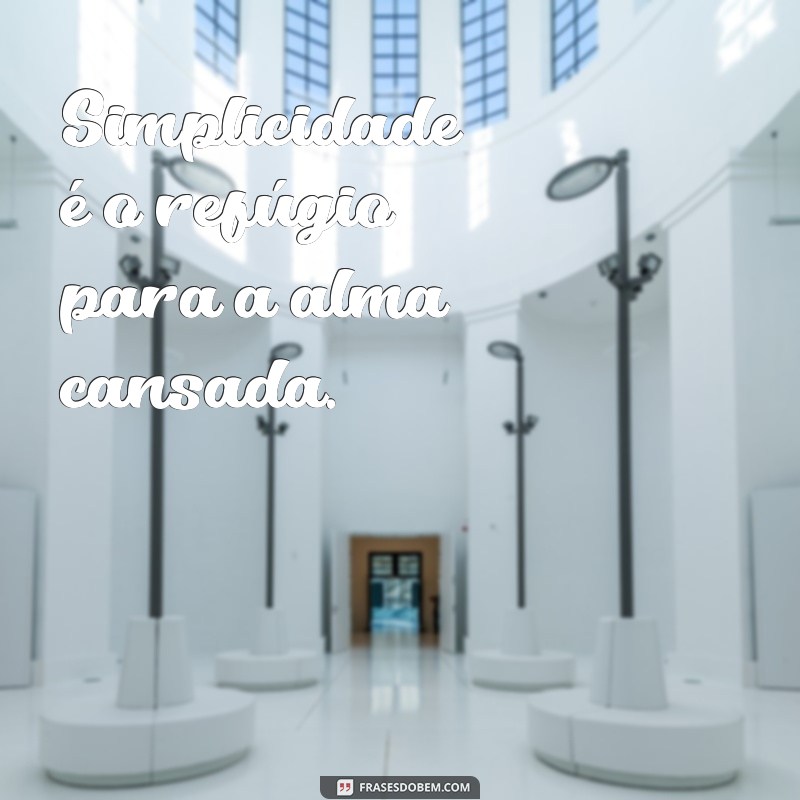 Descubra as Melhores Frases para Viver em Off e Encontrar a Paz Interior 