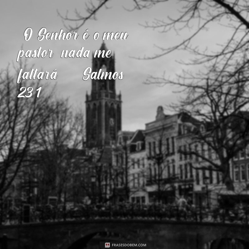 passagem da bíblia do dia “O Senhor é o meu pastor; nada me faltará.” - Salmos 23:1