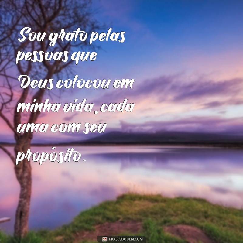 Frases Inspiradoras de Gratidão a Deus: Agradeça por Cada Momento 