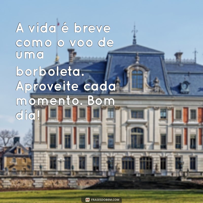 Mensagens Inspiradoras de Bom Dia com Borboletas: Encante Seu Dia! 