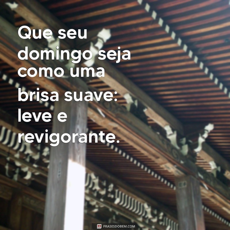 Frases Inspiradoras de Bom Dia para um Domingo Perfeito 