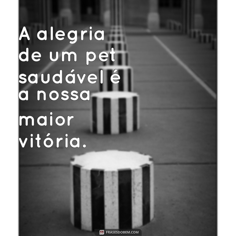 Frases Inspiradoras para Veterinários: Motivação e Carinho na Profissão 