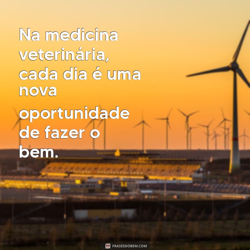 Frases Inspiradoras para Veterinários: Motivação e Carinho na Profissão 