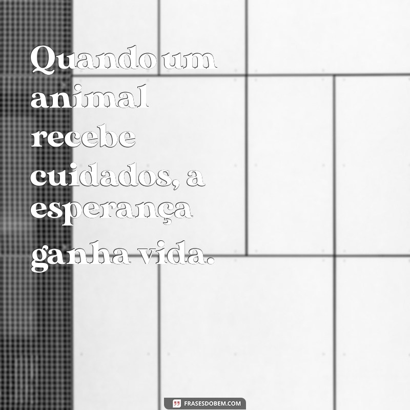 Frases Inspiradoras para Veterinários: Motivação e Carinho na Profissão 