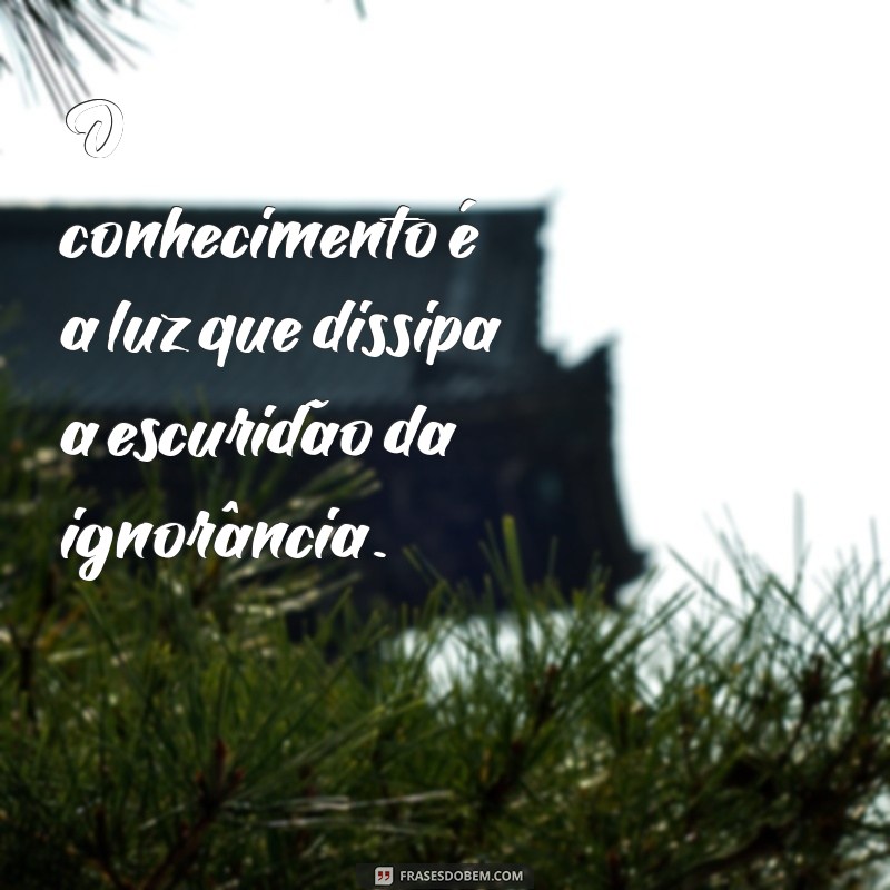 frases de conhecimento e sabedoria O conhecimento é a luz que dissipa a escuridão da ignorância.