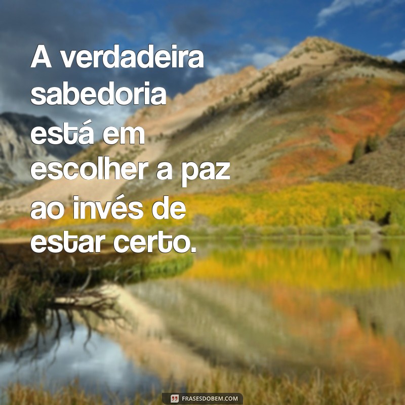 frases melhor ter paz do que razão A verdadeira sabedoria está em escolher a paz ao invés de estar certo.