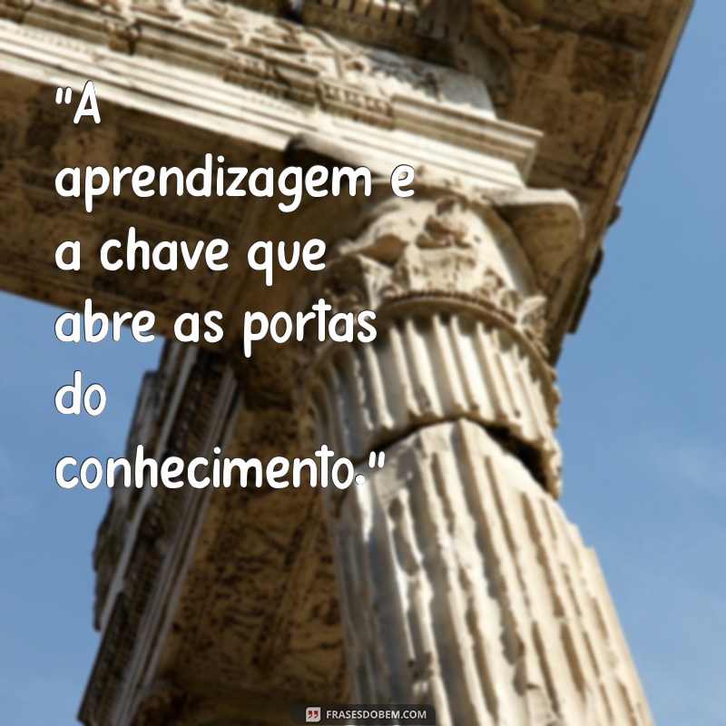 frases sobre aprendizagem 