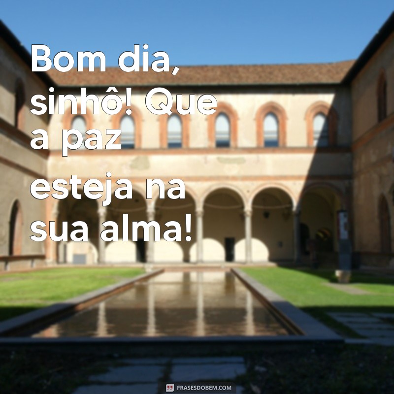 Bom Dia Caipira: Frases e Mensagens para Começar o Dia com Alegria 