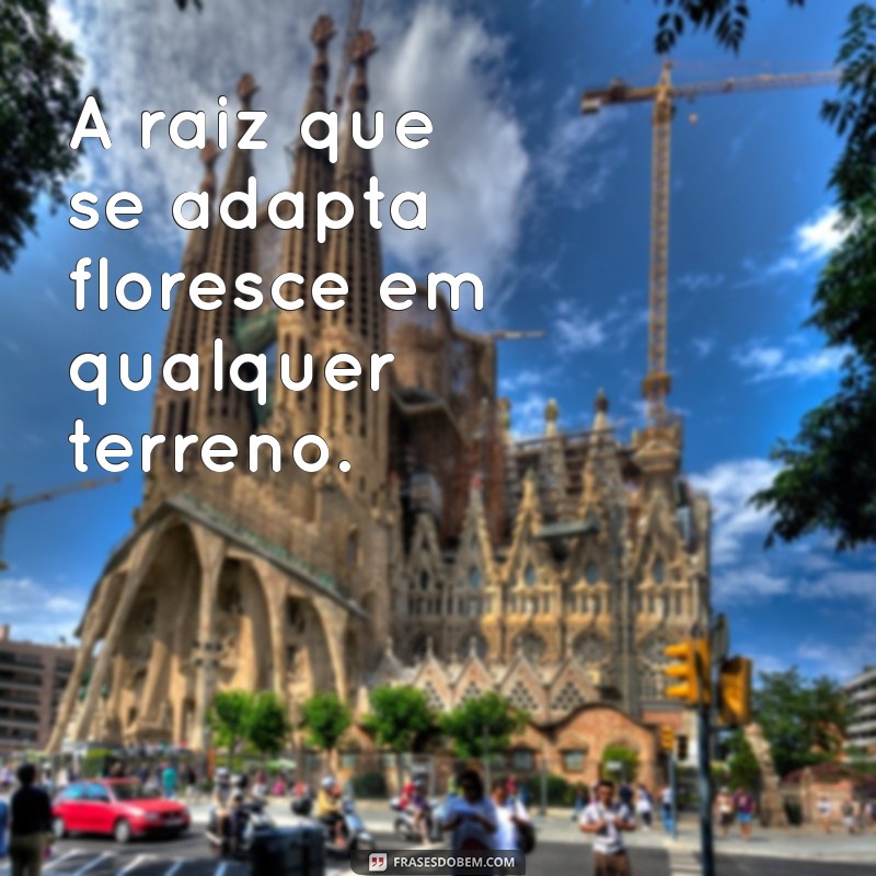 Frases Inspiradoras para Celebrar um Novo Ciclo de Vida 