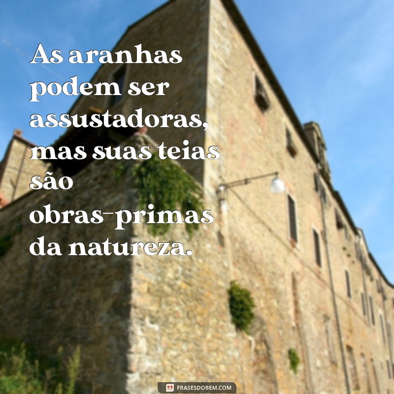 Frases Inspiradoras e Curiosas Sobre Aranhas: Descubra o Fascínio Dessas Criaturas 