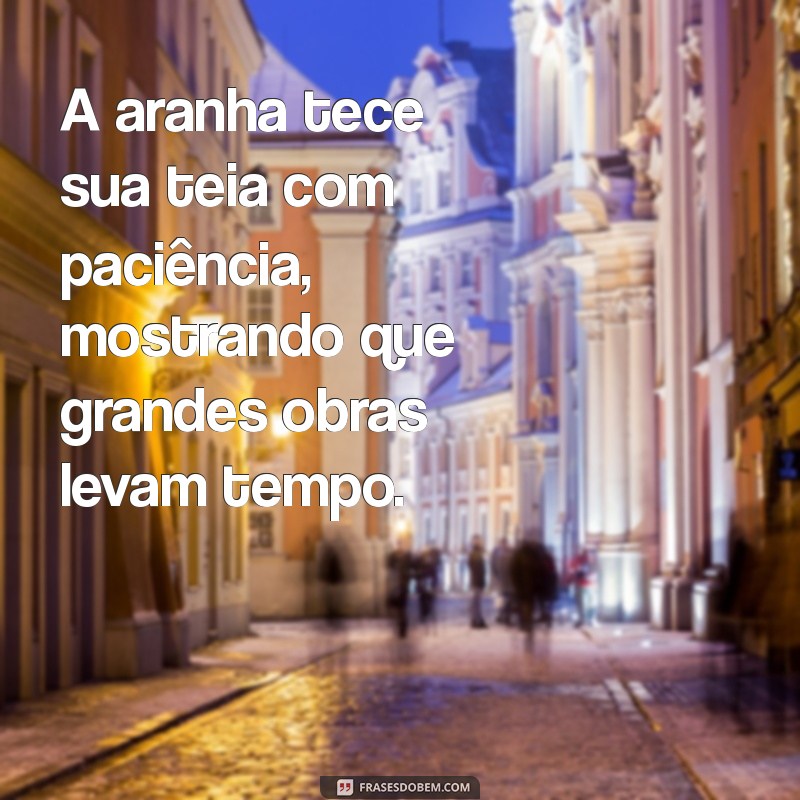 frases com aranha A aranha tece sua teia com paciência, mostrando que grandes obras levam tempo.