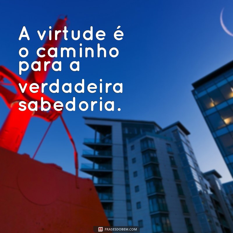 Frases Inspiradoras de Dom Bosco: Sabedoria e Ensino para a Juventude 