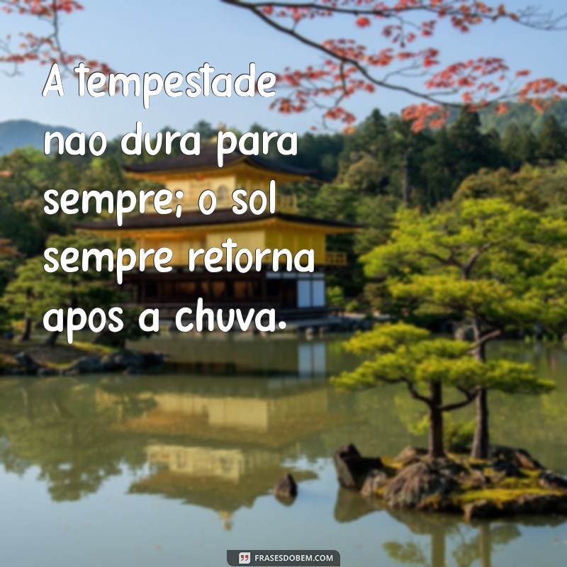 Frases Motivacionais Poderosas para Prevenir o Suicídio e Inspirar Esperança 