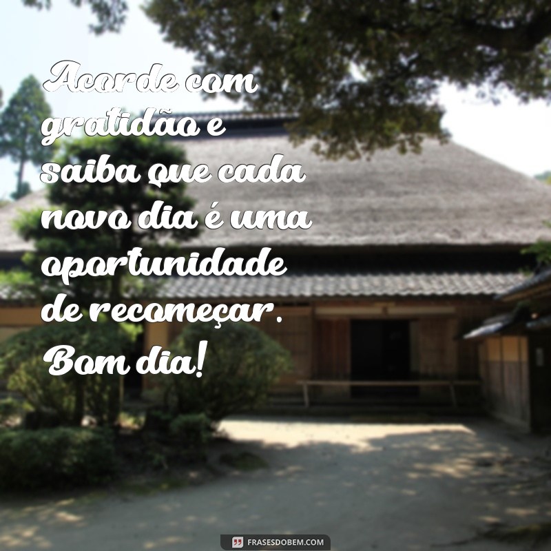 Frases de Bom Dia Abençoado: Inspire Seu Dia com Positividade 