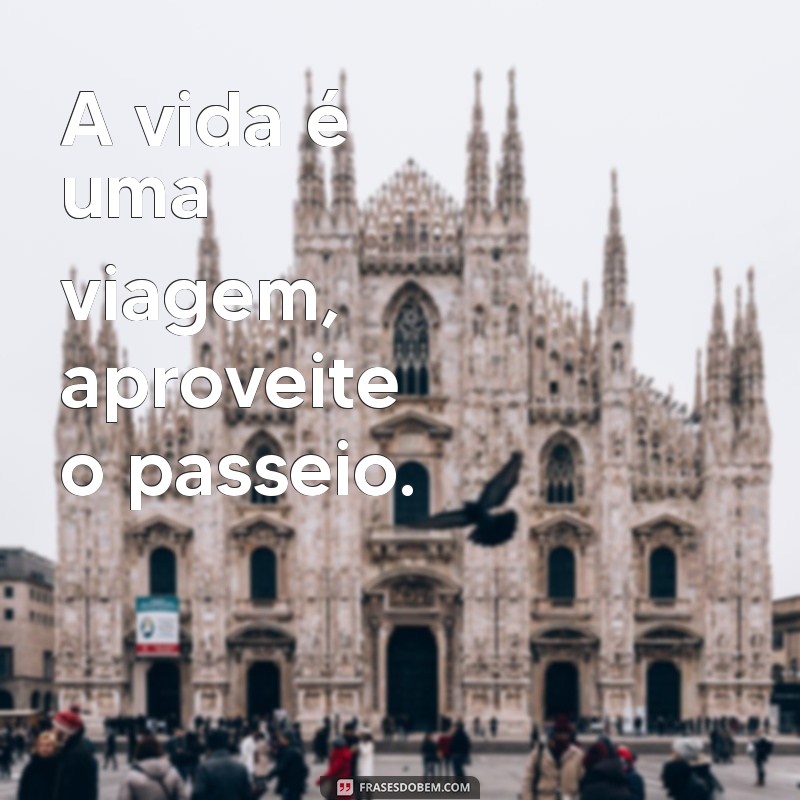 Frases Curtas e Inspiradoras sobre a Vida para Refletir e Compartilhar 