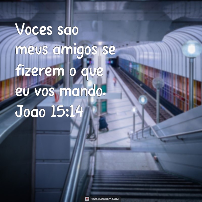 Descubra as melhores frases de versículos bíblicos sobre amizade para fortalecer seus laços 