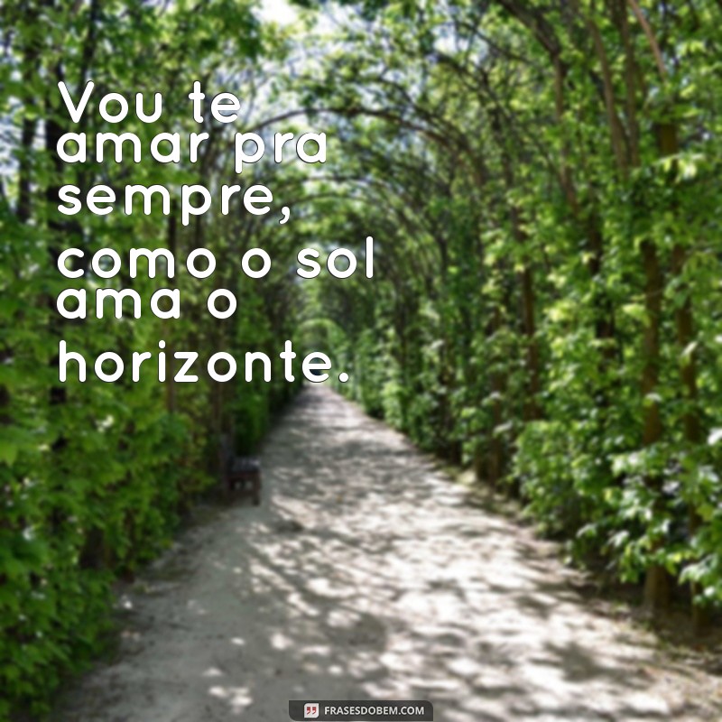 vou te amar pra sempre Vou te amar pra sempre, como o sol ama o horizonte.