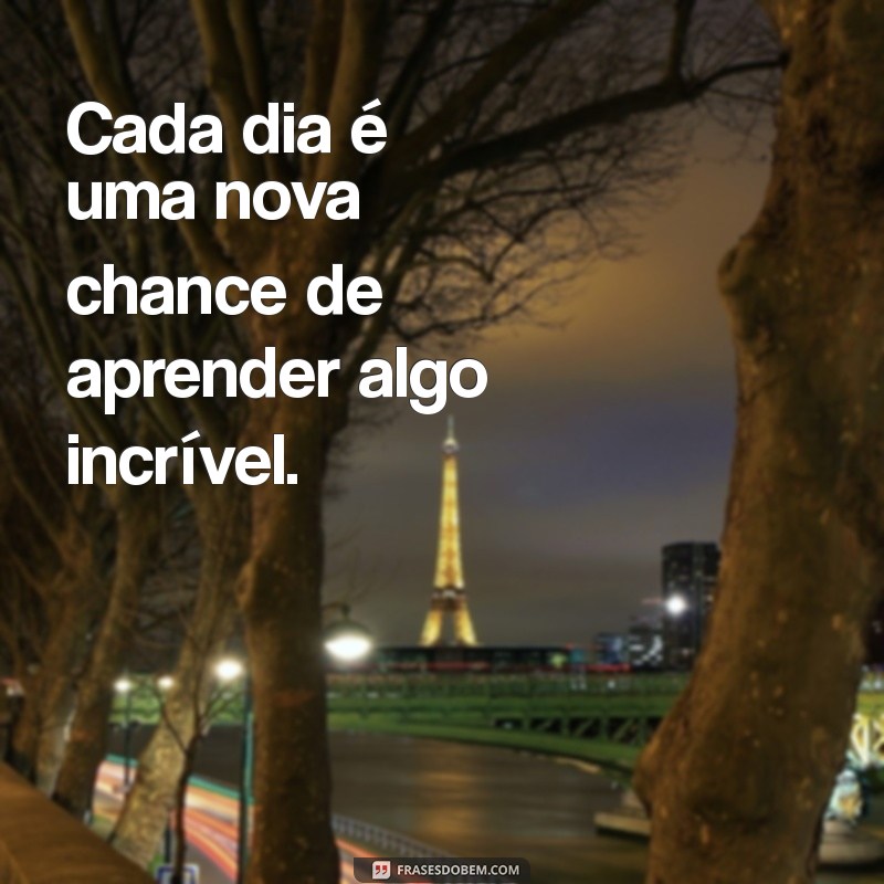 cada dia um aprendizado Cada dia é uma nova chance de aprender algo incrível.