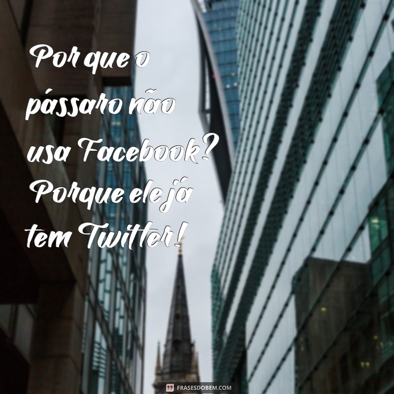 piadas que ninguém conhece Por que o pássaro não usa Facebook? Porque ele já tem Twitter!