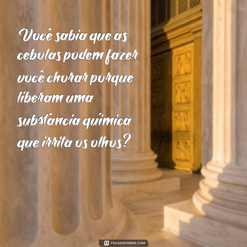 Descubra Curiosidades Surpreendentes: Você Sabia? 