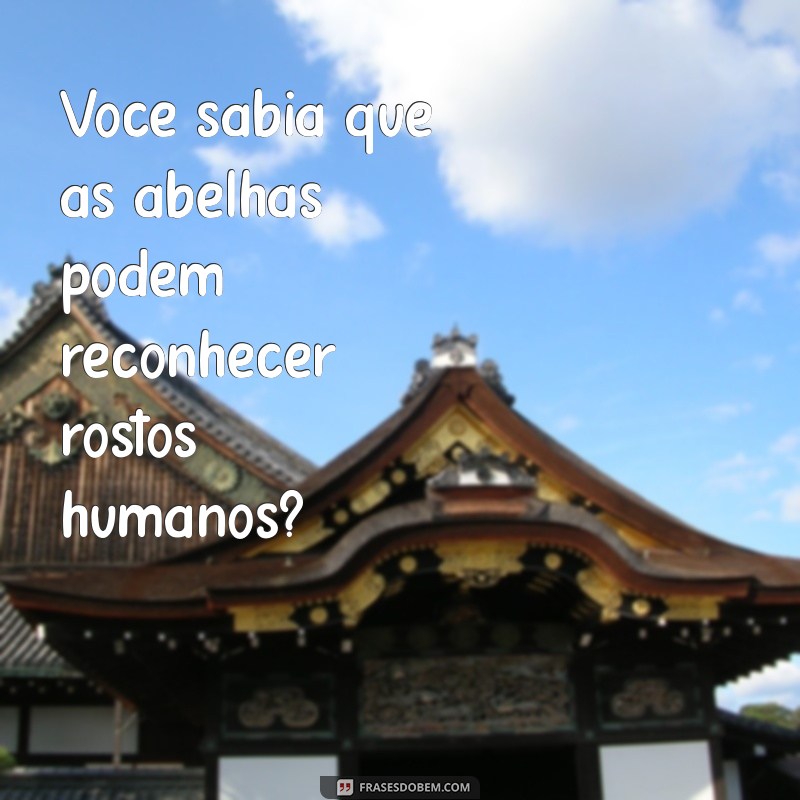 você sabia Você sabia que as abelhas podem reconhecer rostos humanos?