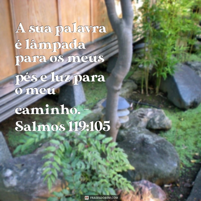 Frases Inspiradoras da Palavra de Deus para Reflexão e Meditação 