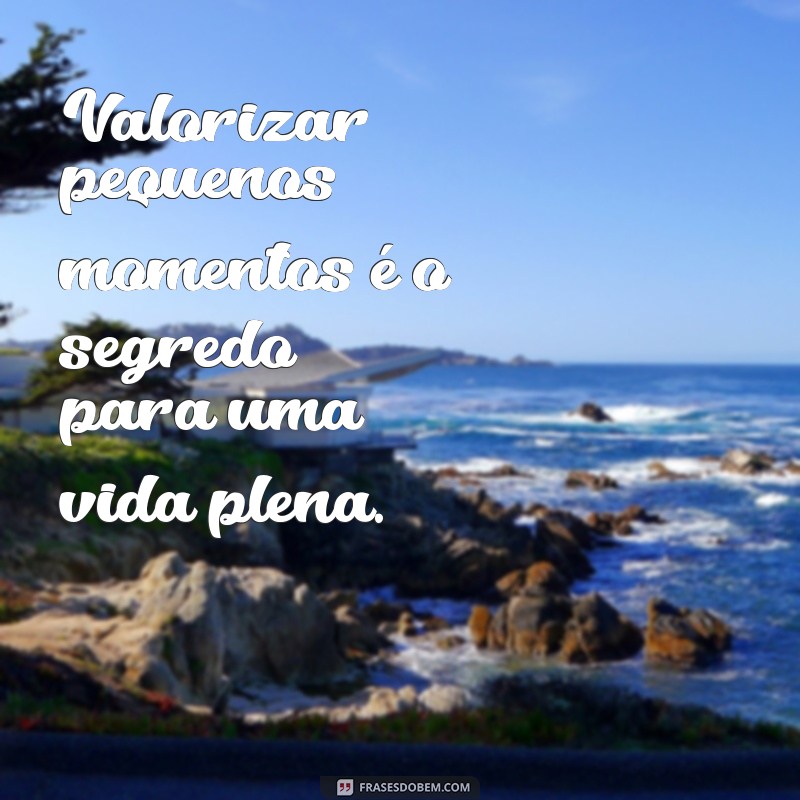 frases sobre valorizar Valorizar pequenos momentos é o segredo para uma vida plena.