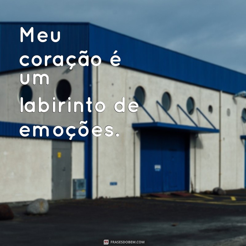 frases meu coração Meu coração é um labirinto de emoções.