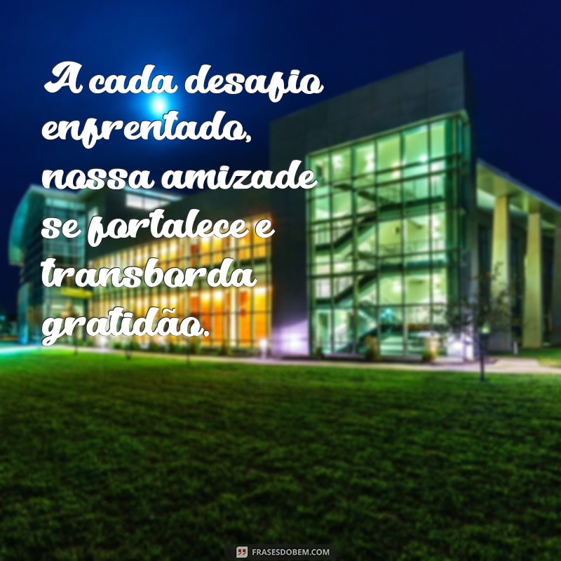 Frases Inspiradoras para Valorizar a Amizade: Demonstre sua Consideração 