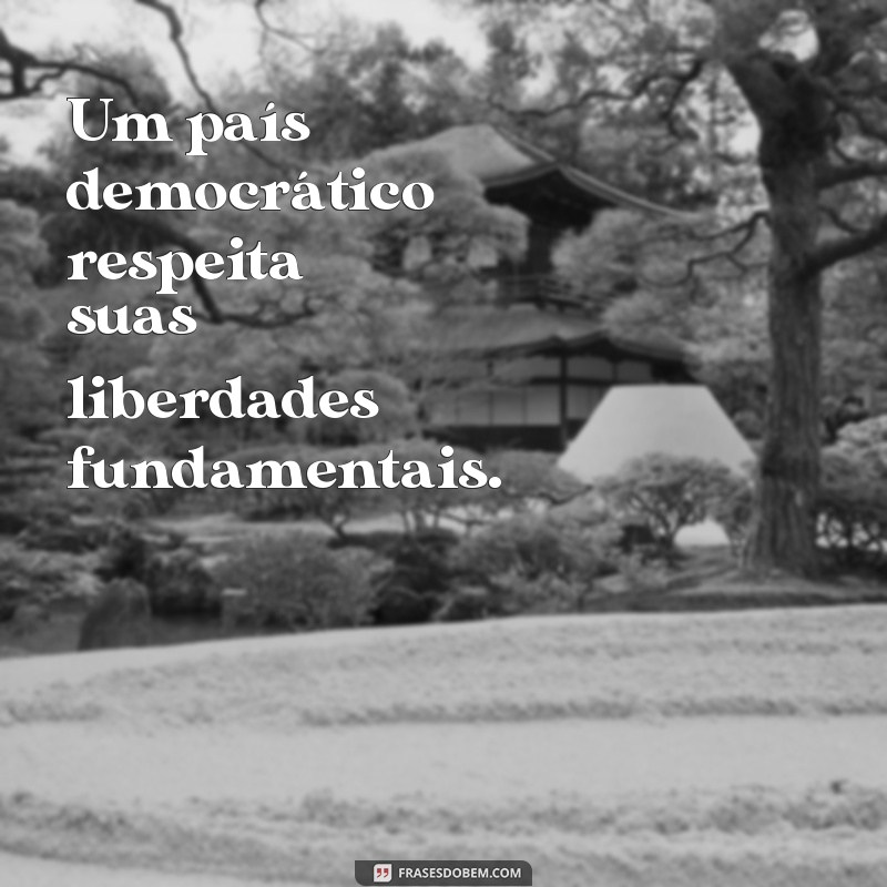 Frases Curtas sobre Democracia: Inspiração e Reflexão 