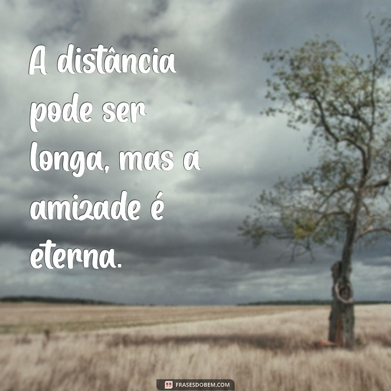 Frases Inspiradoras sobre Amizade à Distância: Conectando Corações Mesmo Longe 