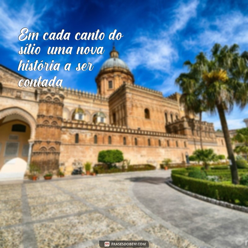 Frases Inspiradoras para Capturar a Beleza do Sítio: Conecte-se com a Natureza 