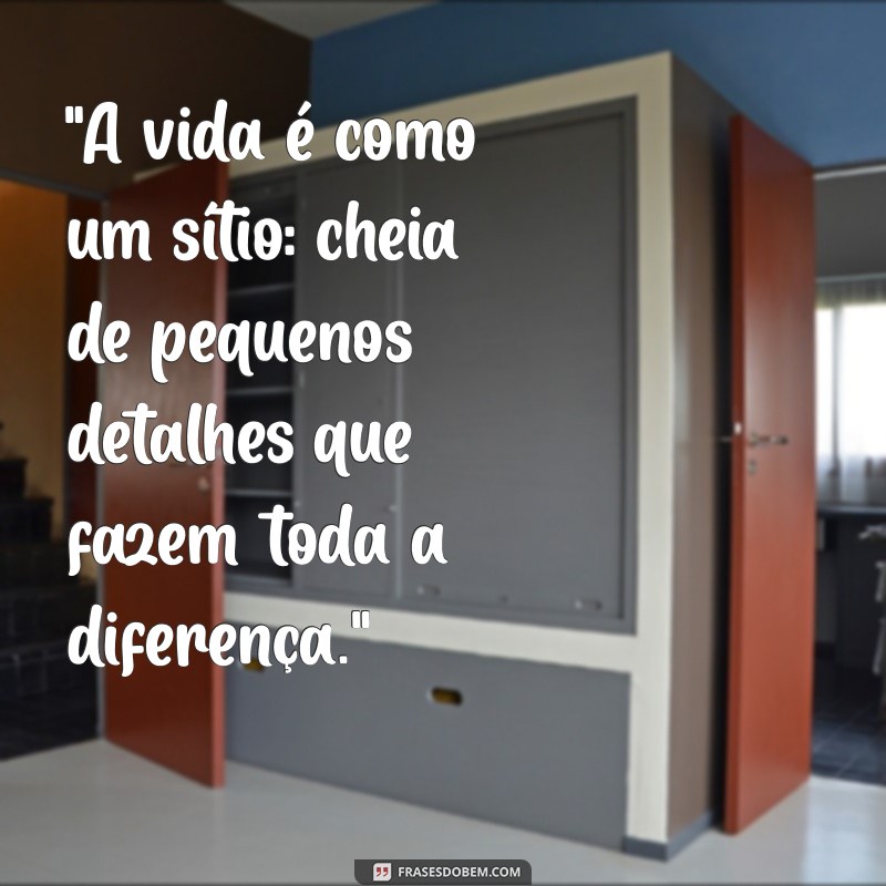 frases sitio 