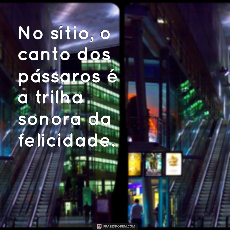 Frases Inspiradoras para Capturar a Beleza do Sítio: Conecte-se com a Natureza 