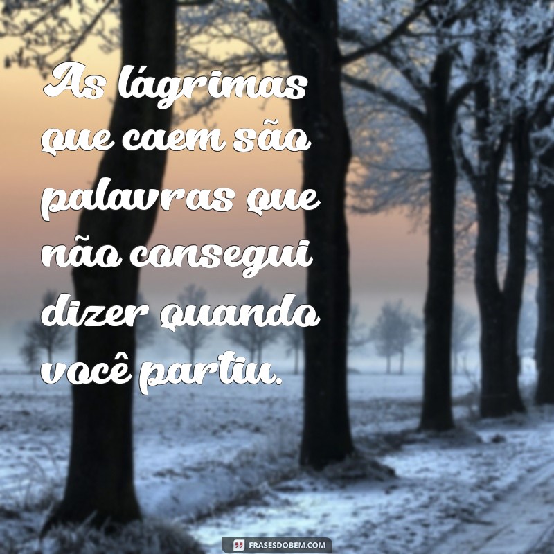 Frases Emocionantes de Saudade para Lembrar Quem Partiu 