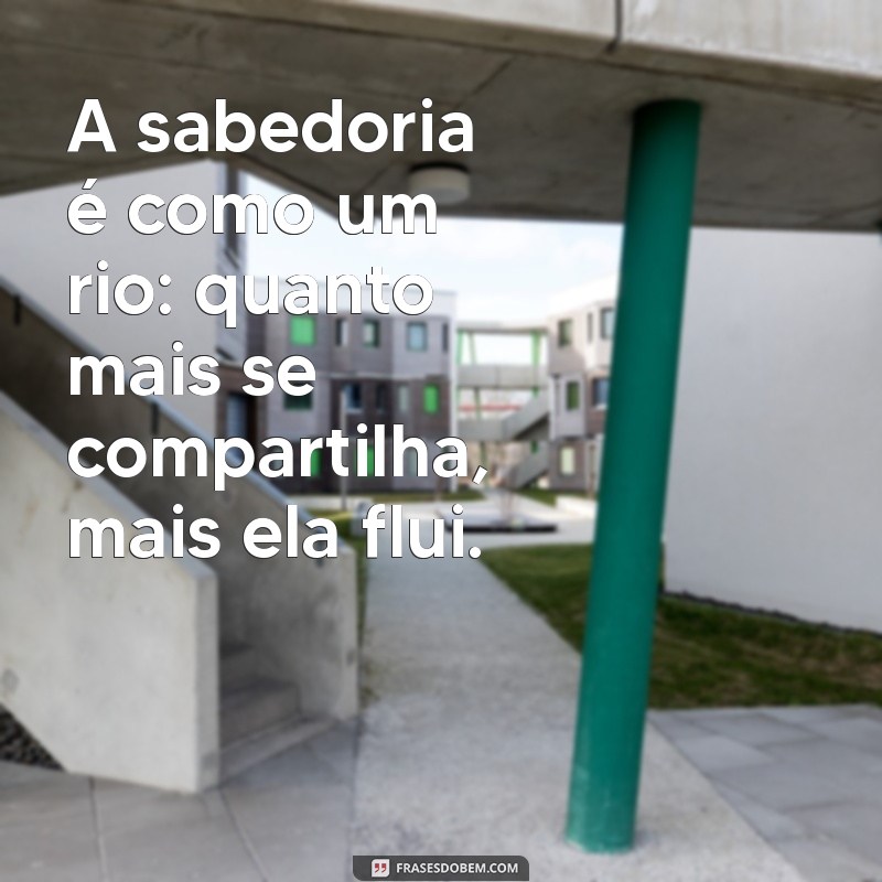 Os Melhores Versículos sobre Sabedoria: Inspirações para o Dia a Dia 