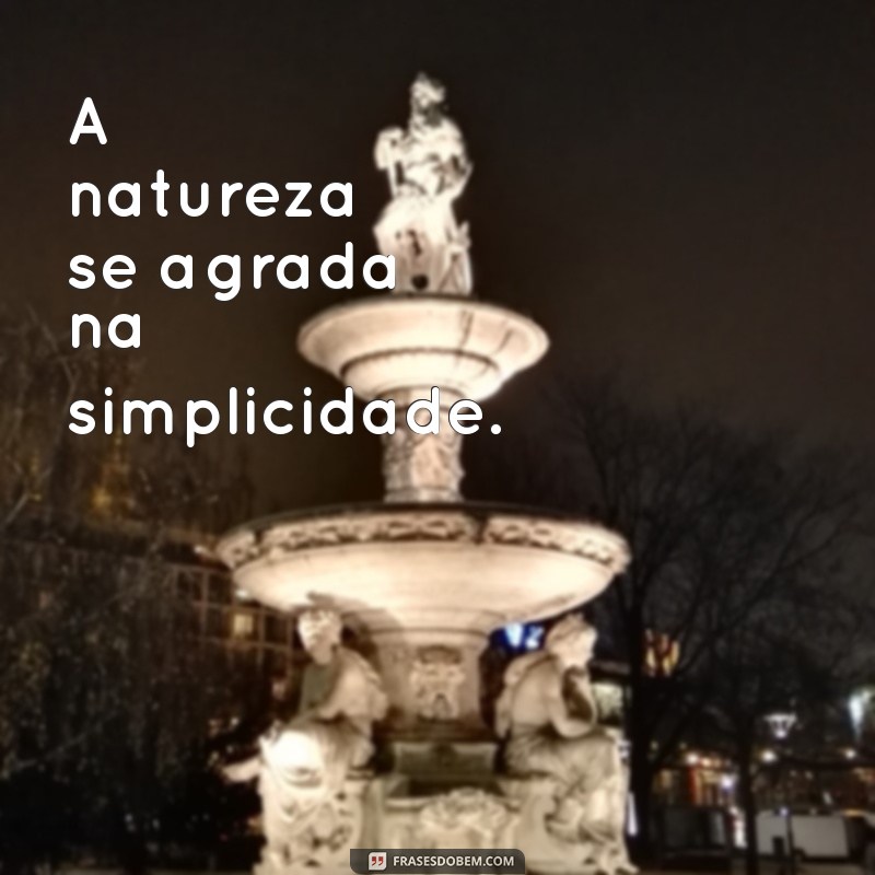 As Melhores Frases de Isaac Newton: Sabedoria e Inspiração 