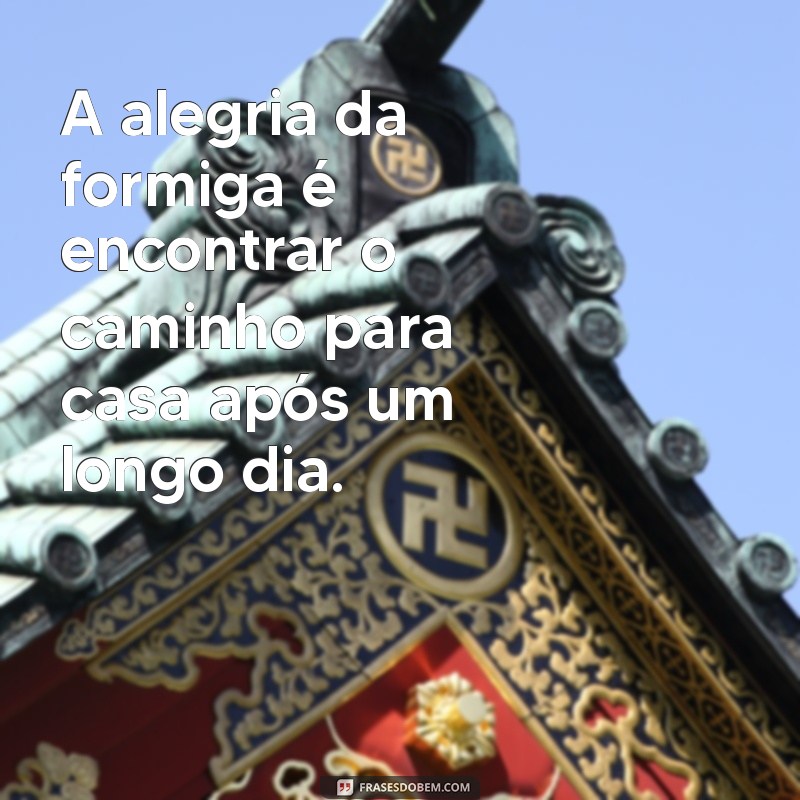 Frases Inspiradoras e Divertidas sobre Formigas: Reflexões e Curiosidades 