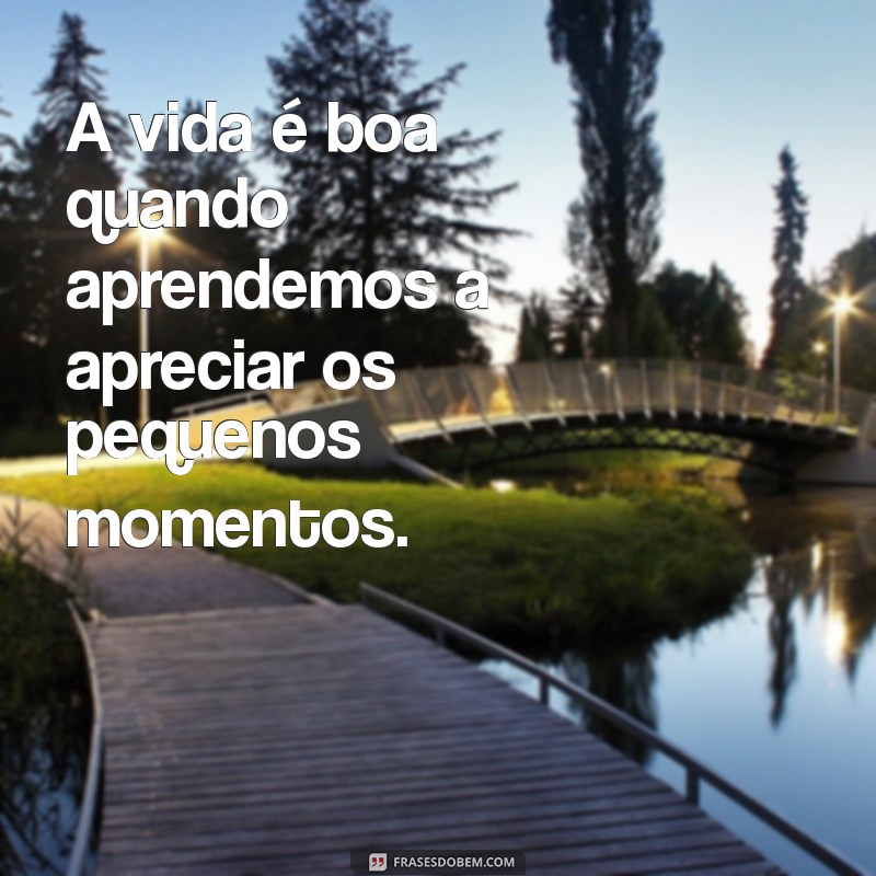 frases vida boa A vida é boa quando aprendemos a apreciar os pequenos momentos.