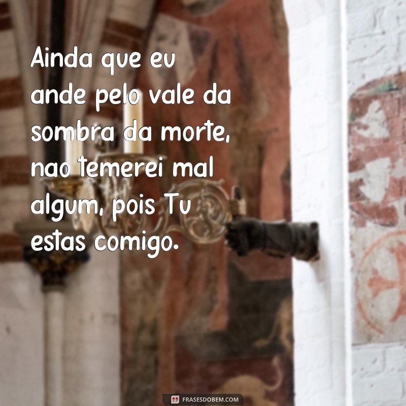 frases ainda que eu ande pelo vale Ainda que eu ande pelo vale da sombra da morte, não temerei mal algum, pois Tu estás comigo.