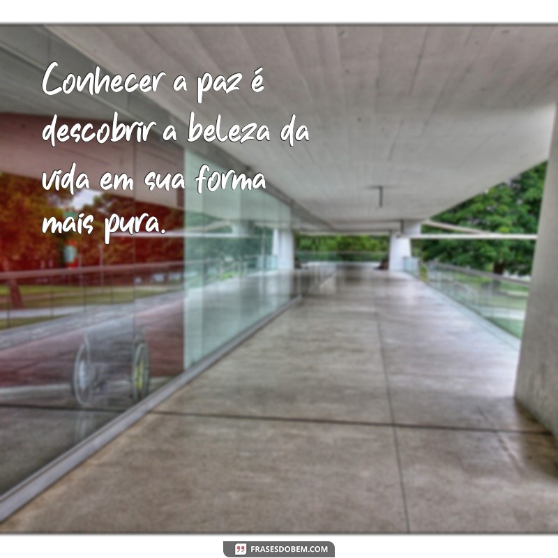 Frases Inspiradoras sobre a Paz: Reflexões para um Mundo Melhor 