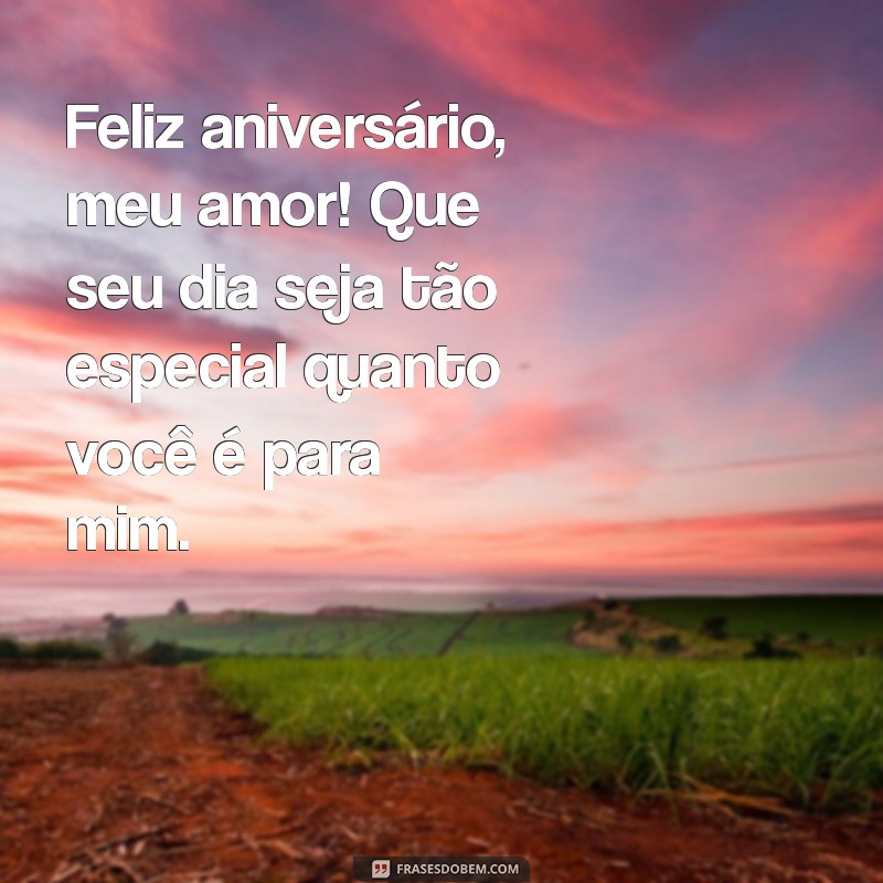 msg aniversario esposa Feliz aniversário, meu amor! Que seu dia seja tão especial quanto você é para mim.