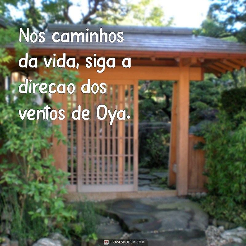 Descubra as Melhores Frases de Oya para Inspirar sua Vida 